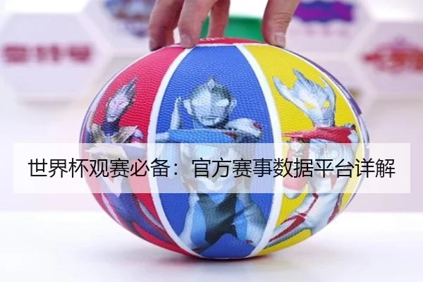 世界杯观赛必备：官方赛事数据平台详解