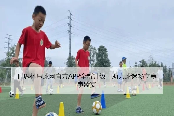 世界杯压球网官方APP全新升级，助力球迷畅享赛事盛宴
