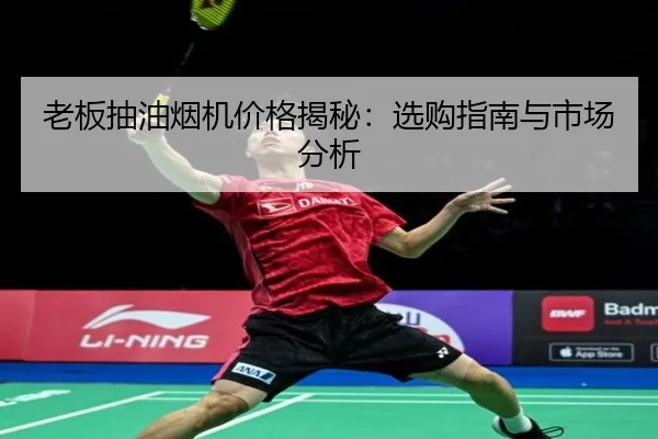 老板抽油烟机价格揭秘：选购指南与市场分析