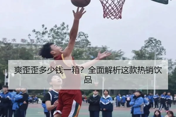 爽歪歪多少钱一箱？全面解析这款热销饮品