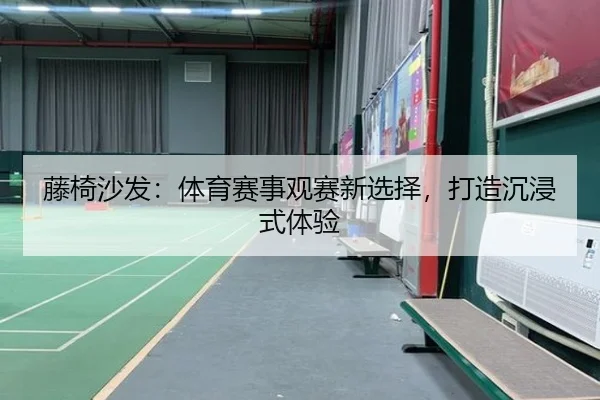 藤椅沙发：体育赛事观赛新选择，打造沉浸式体验