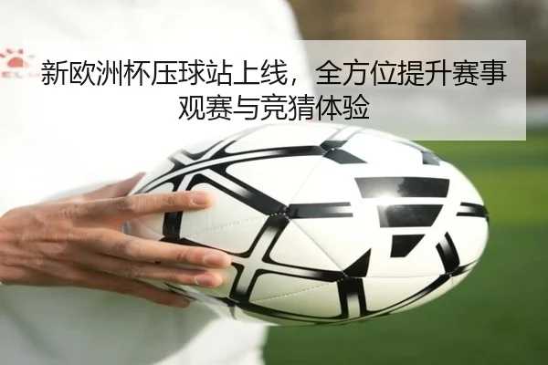 新欧洲杯压球站上线，全方位提升赛事观赛与竞猜体验