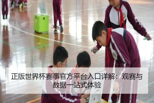 正版世界杯赛事官方平台入口详解：观赛与数据一站式体验