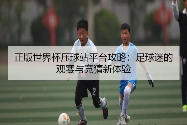 正版世界杯压球站平台攻略：足球迷的观赛与竞猜新体验