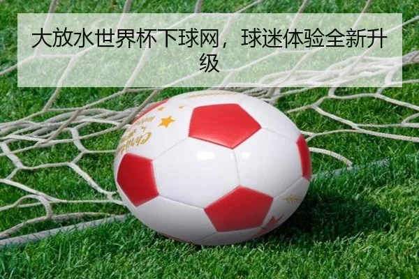大放水世界杯下球网，球迷体验全新升级